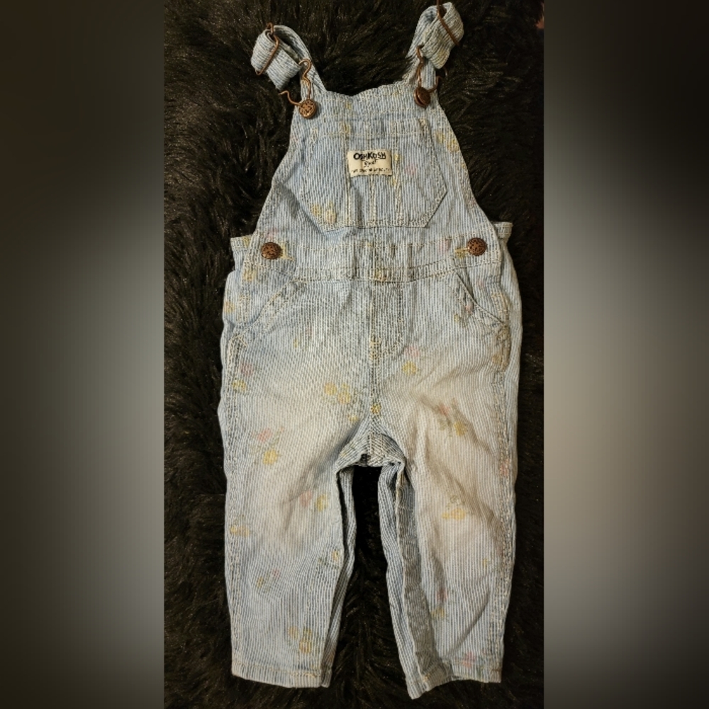 OshKosh B'gosh Floral Hickory Stripe Overalls, 6 month